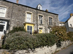 Samphire in Port Isaac, South West England