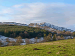 Riechip in Dunkeld, Central Scotland