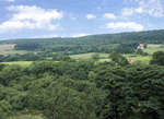 Honey Bee Cottage in Staintondale, North East England