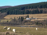 Distillery Cottage in Aberlour, East Scotland