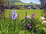 Gardeners Cottage in Mid Wales