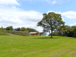 Cedar Log Cabin- Brynallt Country Park in Welsh Frankton, West England