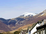 Westies in Keswick, North West England